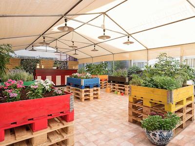 ایبیز گرانادا