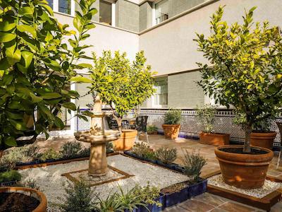 ایبیز گرانادا