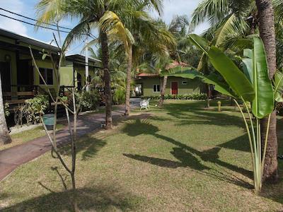 کاسا فینا فین همز