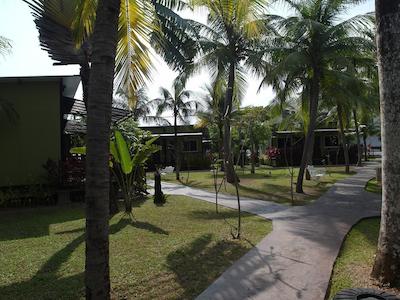 کاسا فینا فین همز