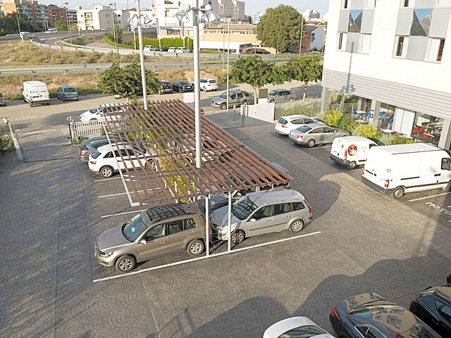 ایبیز لیدا