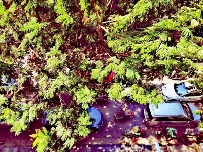 هانوی فنیکس پالاس هتل