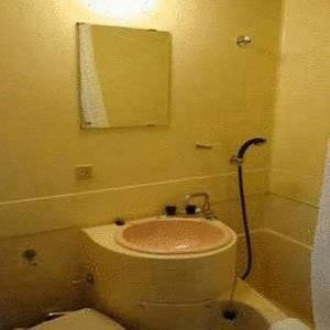 فر لیوز این وهنماچی