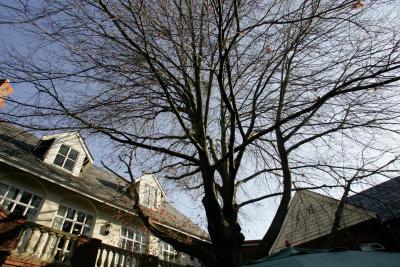 فیرسیتی کواترمین هتل