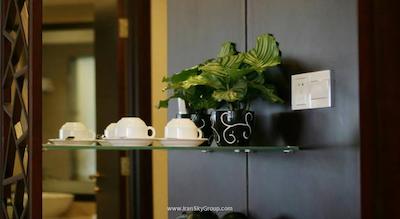 تیان آن رگا