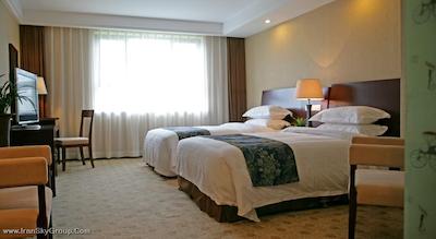 تیان آن رگا