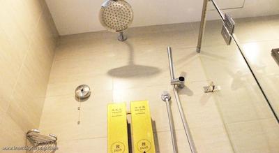 تیان آن رگا