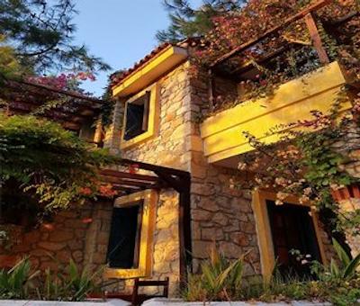 اسیمبلا اُلودنیز بیچ