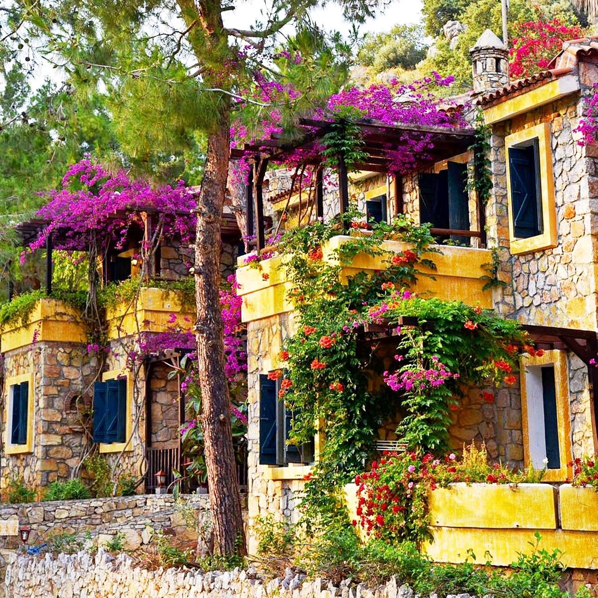 اسیمبلا اُلودنیز بیچ