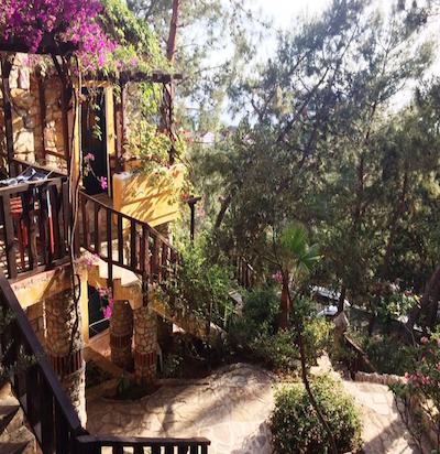 اسیمبلا اُلودنیز بیچ