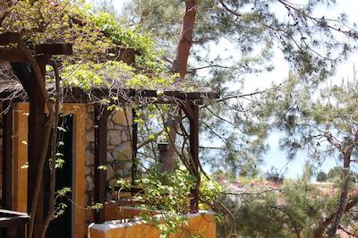 اسیمبلا اُلودنیز بیچ