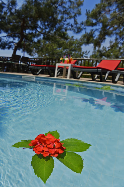 اسیمبلا اُلودنیز بیچ