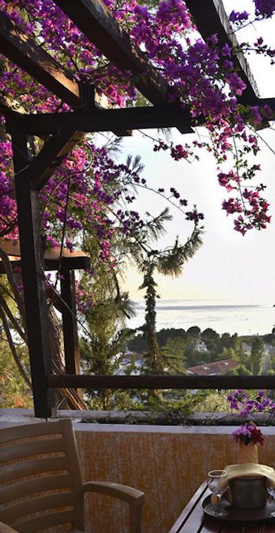 اسیمبلا اُلودنیز بیچ