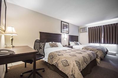 اکنو لج ورنن