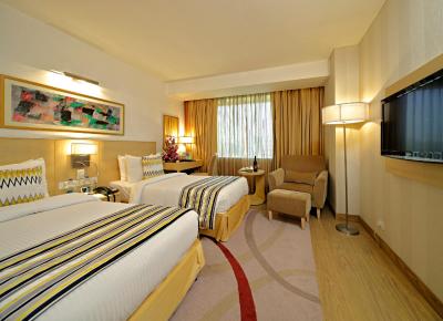 کانتری این اند سوئیتز بای رادیسون دهلی سکت