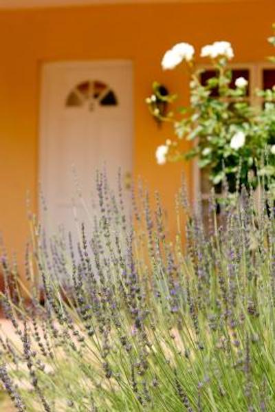 لیتل توسانی بوتیک هتل