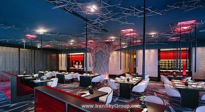 چاینا ورلد سامیت وینگ