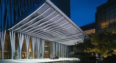 چاینا ورلد سامیت وینگ