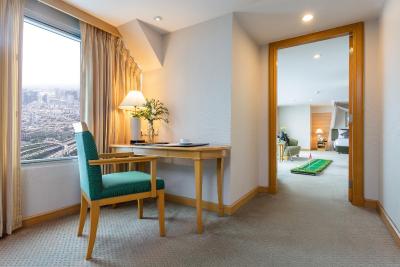 بایوک اسکای هتل