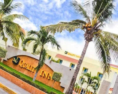 کوالیتی این مازاتلان