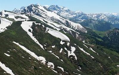 تولیپ این رسا خوتر