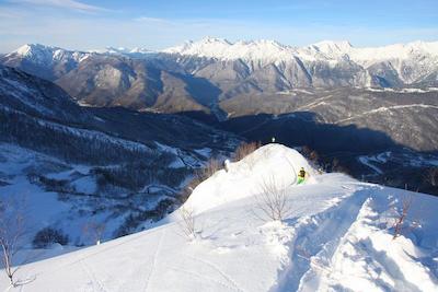 تولیپ این رسا خوتر