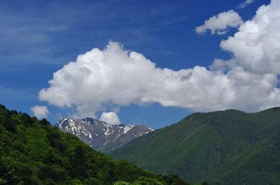 تولیپ این رسا خوتر