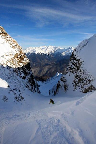 تولیپ این رسا خوتر