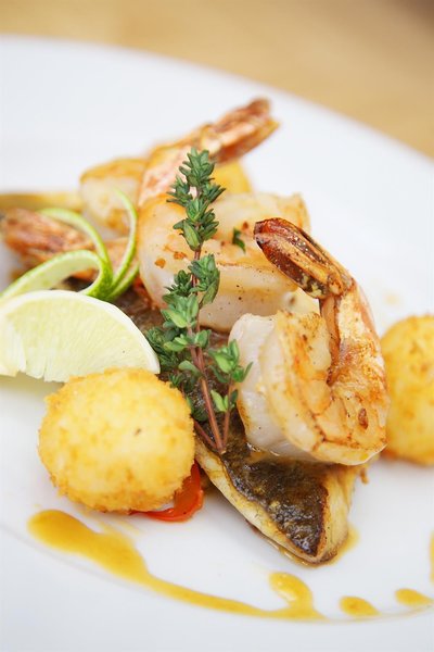 تولیپ این رسا خوتر