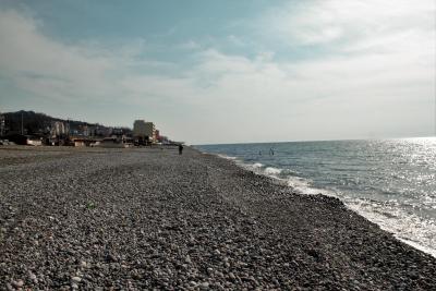 ریال گوست هوس