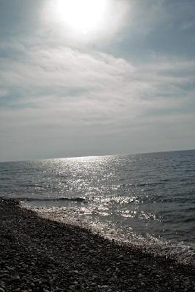 ریال گوست هوس