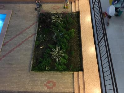 ریال گوست هوس