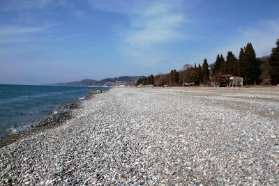 ریال گوست هوس