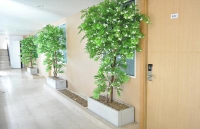 نانترا رتریت اند اسپا