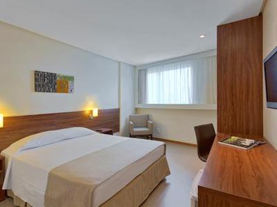 تولیپ این بلم هانگار