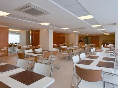 تولیپ این بلم هانگار