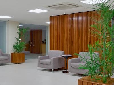 تولیپ این بلم هانگار