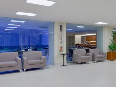 تولیپ این بلم هانگار