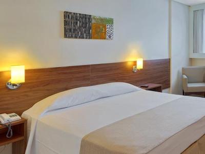 تولیپ این بلم هانگار