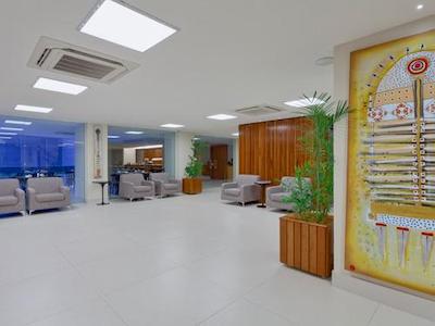 تولیپ این بلم هانگار