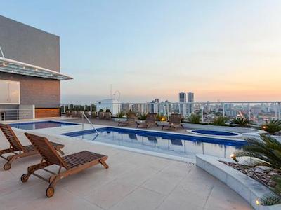 تولیپ این بلم هانگار