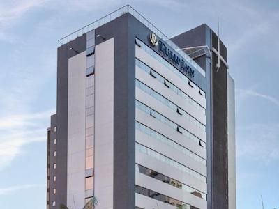 تولیپ این بلم هانگار