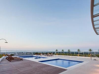 تولیپ این بلم هانگار