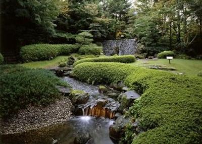 ناکانبو زوین