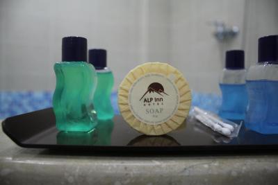 آلپ این هتل