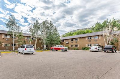 ردو این ریفل