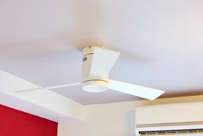 رد پلانت اسوک