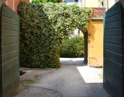 پالازو آلکساندر