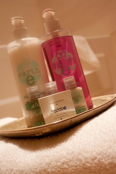 کاست ادمنتون پلازا هتل بای اپا