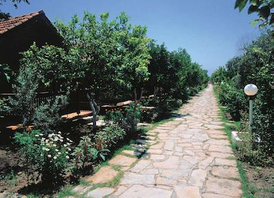 اُزلم گاردن